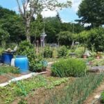 jardins familiaux élancourt