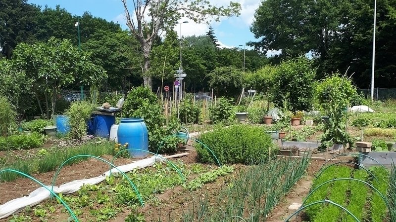 jardins familiaux élancourt